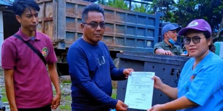 Warga di Langkat Serahkan Beruang Madu Betina Berusia 10 Tahun ke BKSDA