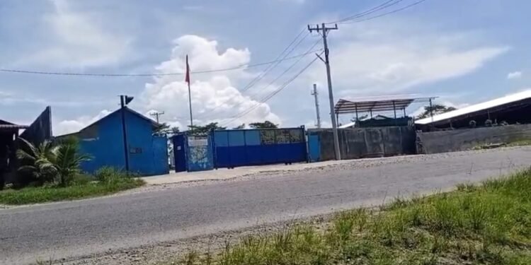 PT Kasmo Pramono Utama Buang Limbah Sembarangan, Diduga Dibekengi Oknum Anggota DPRD Langkat