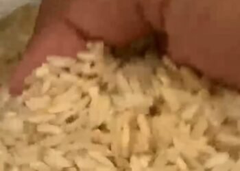 Polisi Panggil Pemilik Kilang Usai Viral Beras di Langkat Merek Shincan Diduga Dioplos