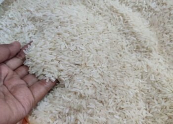 Disperindag Belum Temukan Beras Oplosan yang Dijual di Langkat