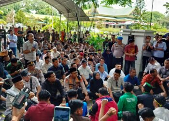 Politisi Muda NasDem Apresiasi Aksi Demo di DPRD Langkat, Ristya : Tak Terprovokasi Isu Negatif