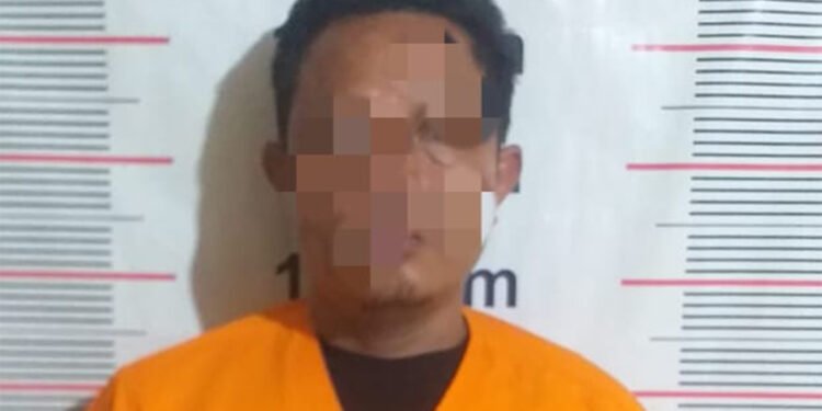 Maksud Melamar Kerja, Pria di Kota Binjai Malah Curi Motor Pemilik Bengkel di Langkat