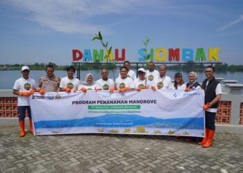Pelindo Multi Terminal Group Tanam 11.000 Mangrove Bawa Manfaat Bagi Masyarakat
