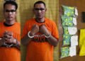 NGERI KALI, Nekat Kantongi 493 Butir Ekstasi Siap Edar, 2 Pria di Kota Binjai Diringkus Polisi
