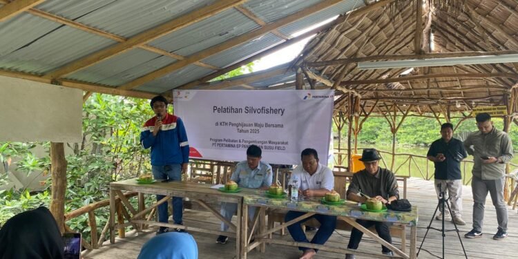 Pertamina EP Pangkalan Susu Dorong Konservasi Mangrove Lewat Pelatihan Silvofishery