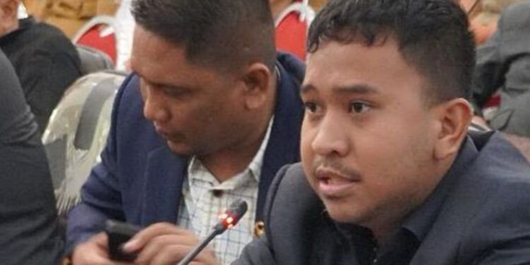 Matthew Diemas Anggota DPRD Langkat Desak Pemerintah Tetapkan Status Bencana Nasional
