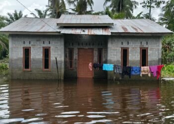 Memasuki Hari ke-13 Banjir, Warga Desa Suka Maju Langkat Butuh Obat-obatan dan Sembako