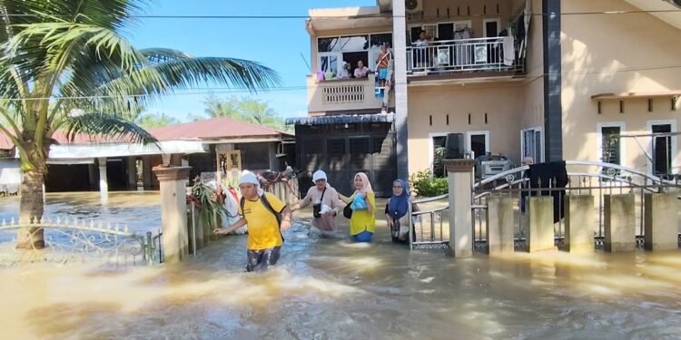 17 Ribu Ternak Mati dan Belasan Ribu Rumah Rusak Akibat Banjir di Langkat