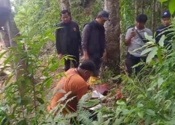 Dit Tipidter Bareskrim Polri Cek Lapangan, Warga: Mustahil Kayu PT TBS Melompat ke Sungai Garoga