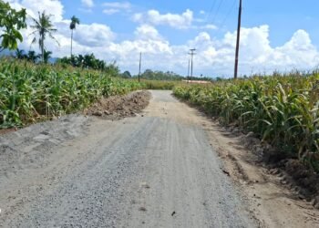 Proyek Hotmix Senilai Rp 4,5 Miliar tak Ada Plang, APH Diminta Lakukan Pemantauan