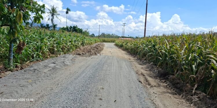 Proyek Hotmix Senilai Rp 4,5 Miliar tak Ada Plang, APH Diminta Lakukan Pemantauan