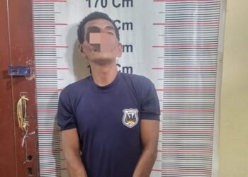 Pria di Langkat Diringkus Polisi Usai Lempar Mobil Pikap Pakai Batu yang Bermuatan Lembu