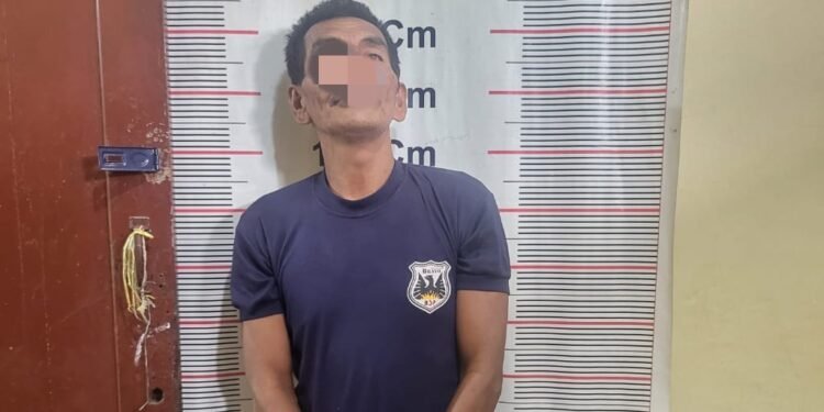 Pria di Langkat Diringkus Polisi Usai Lempar Mobil Pikap Pakai Batu yang Bermuatan Lembu