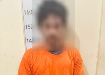 Isap dan Jual Sabu di Dalam Gubuk, Pria di Langkat Diringkus Polisi