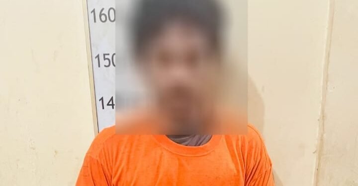 Isap dan Jual Sabu di Dalam Gubuk, Pria di Langkat Diringkus Polisi