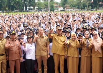 Sebanyak 3.798 PPPK Paruh Waktu di Langkat Terima SK, Didominasi Tenaga Teknis