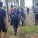 Kades di Lampung Tewas Diserang Gajah, Berikut Kronologinya