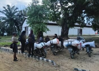 600 Kilogram Sawit Disita, Usai 10 Pelaku Pencurian Brondolan di Langkat Diamankan Petugas Kebun