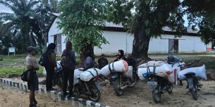 600 Kilogram Sawit Disita, Usai 10 Pelaku Pencurian Brondolan di Langkat Diamankan Petugas Kebun