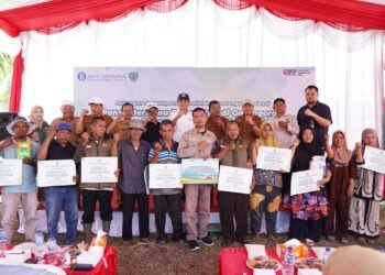 BI Sibolga-Pemkab Tapsel Panen Padi Gamagora 7, Produksi Tembus 9,64 Ton per Hektare