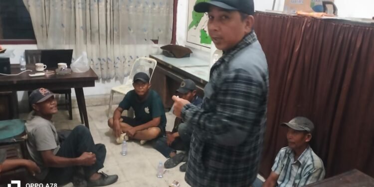 Petugas Kebun Kembali Tangkap 7 Pencuri Brondolan di Langkat, 450 Kg Sawit Disita