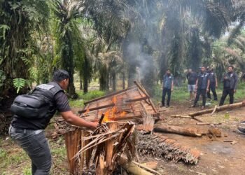 Polisi Gerebek Barak Narkoba di Langkat, Ini Hasilnya