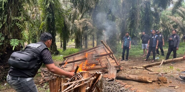 Polisi Gerebek Barak Narkoba di Langkat, Ini Hasilnya