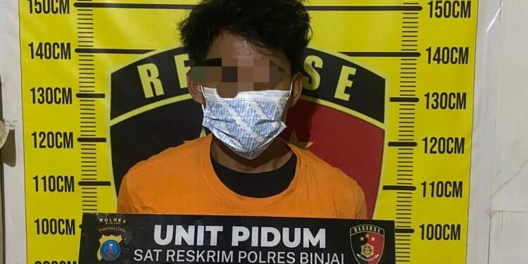 Lakukan Curat di Parkiran Tempat Fitnes di Kota Binjai, Warga Sunggal Diringkus Polisi