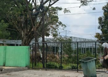 Bangunan Liar yang Dibongkar di Binjai Diduga Jadi Tempat Parkir Cafe yang Berdiri di Tanah Kebun