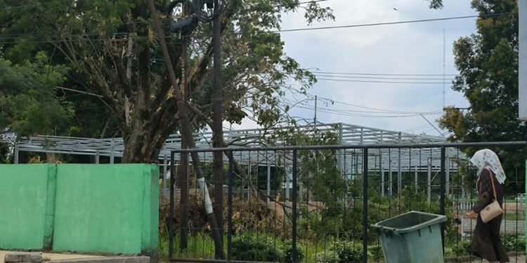 Bangunan Liar yang Dibongkar di Binjai Diduga Jadi Tempat Parkir Cafe yang Berdiri di Tanah Kebun