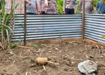 Polisi Langsung Ledakkan Ranjau Darat yang Ditemukan Warga saat Berladang di Langkat