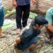 Rumah Kosong Dijadikan Tempat Jual Sabu di Langkat, Warga Binjai Diringkus Polisi