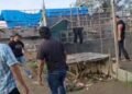 Polisi Bakar Gubuk Disekitar Titi Cp Amal Langkat, Usai Disinyalir Jadi Tempat Peredaran Narkoba
