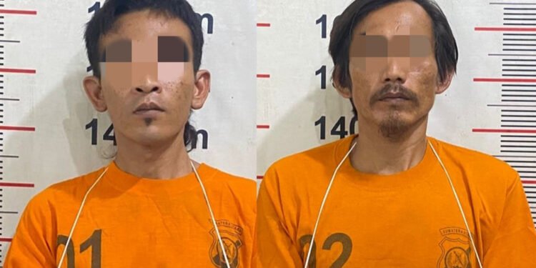 2 Pria di Langkat Diringkus Polisi Usai Curi Pagar dan Lima Pintu Rumah, Korban Rugi Rp 20 Juta