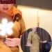 Viral Video Guru Bahasa Inggris dan Murid di Medsos: Maaf, Kancing Baju Ibu Terbuka