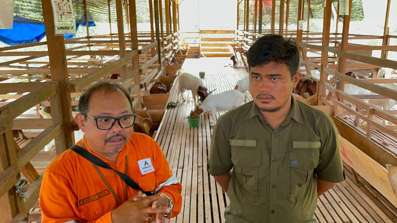 PTAR Kembangkan Martabe Farm, Dorong Ketapang dan Kemandirian Ekonomi