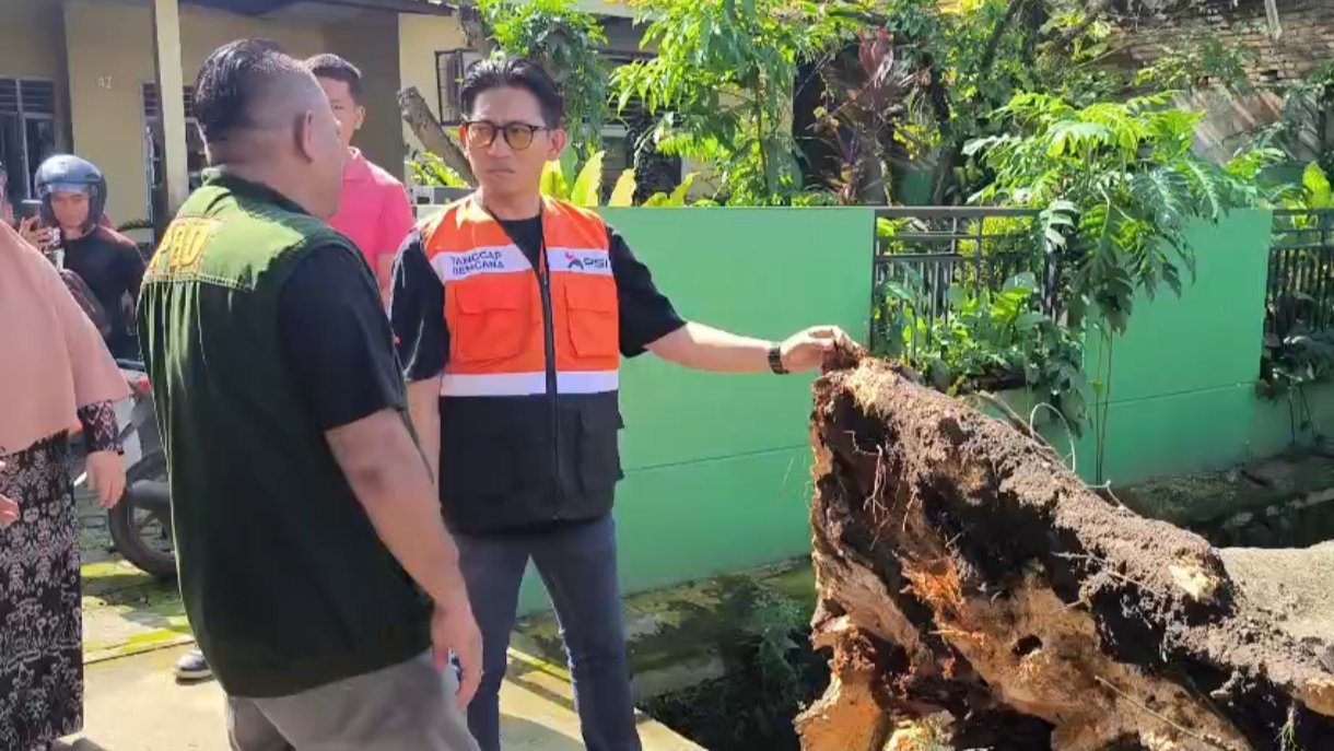 Pedagang Bakso Tertimpa Pohon Tumbang, Wakil Wali Kota Binjai Ingatkan DLH
